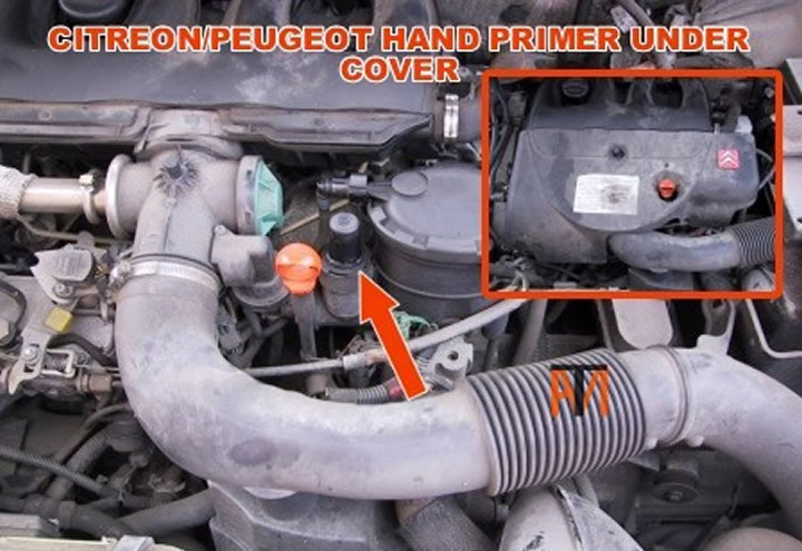 Citroen Berlingo hand primer